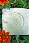Hemp Garden soap