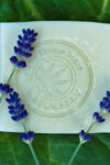 Natural Soap Bar