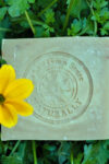 Hemp Soap Bar